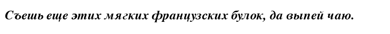 Vremya Bold Italic