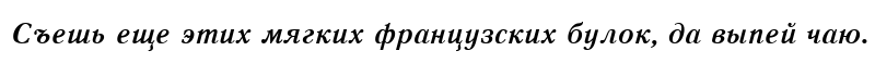 Literaturnaya Bold Italic