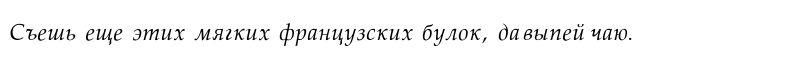 Palatino-Normal-Italic Regular