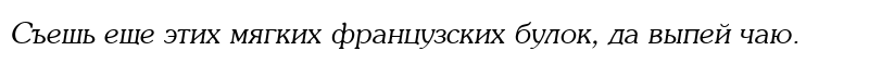 AGSouCyrillic Normal-Italic