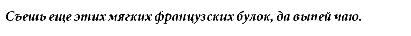 Minion Cyrillic Bold Italic