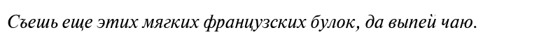 NewtonWINCTT Italic