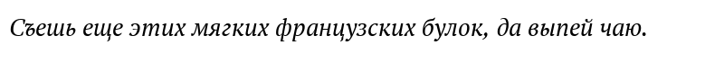 PT Serif Italic