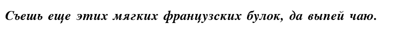 NTTimes/Cyrillic BoldItalic