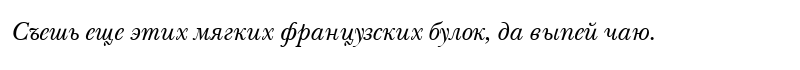 NewBaskervilleCTT Italic